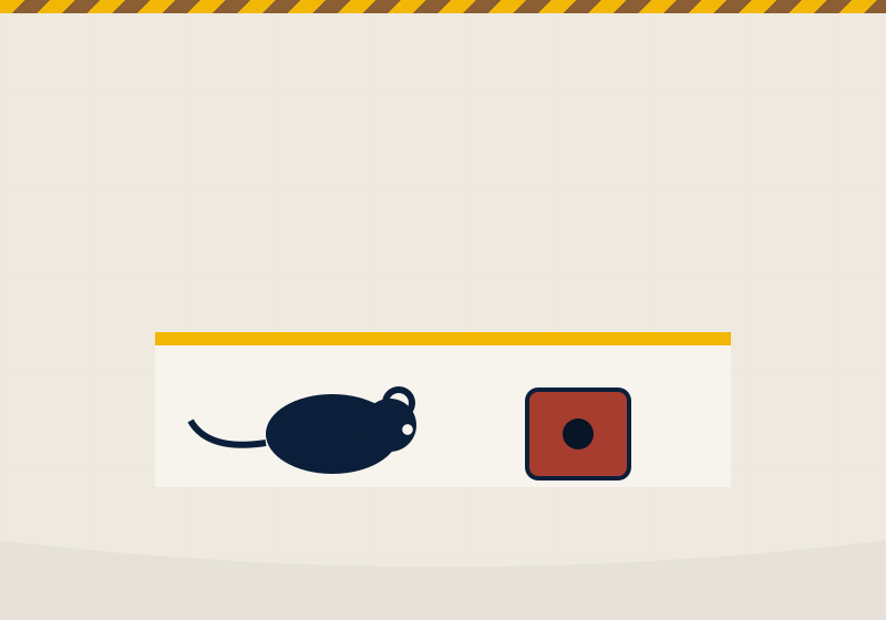 Rats & Mice